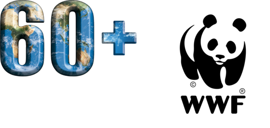 EH transparent and WWF